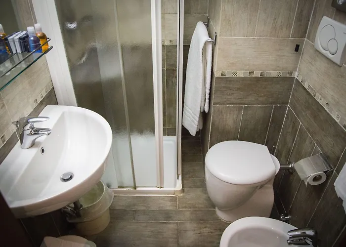 Hotel Accursio 3*
