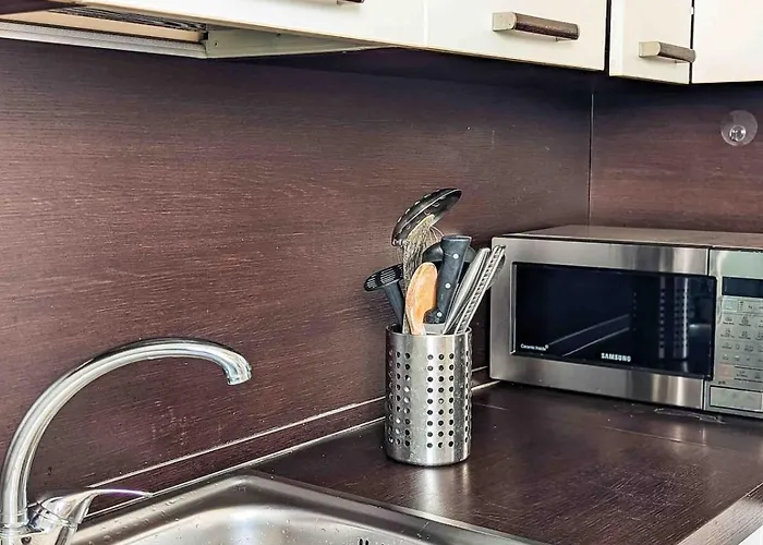 Large With Terrace 公寓 米兰