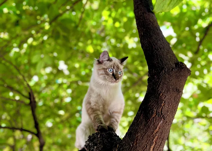Paradiso Ξενοδοχείο Μιλάνο