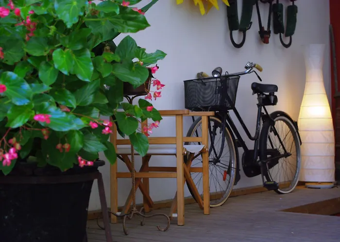 Il Girasole High Quality 3*