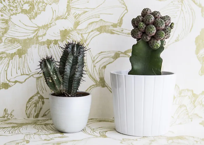 Πανσιόν Serendipity 4*