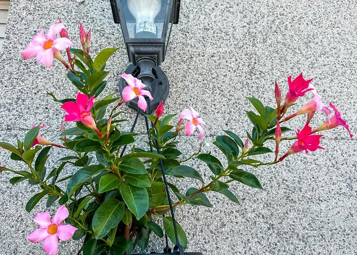 Panoramic 아파트 밀라노