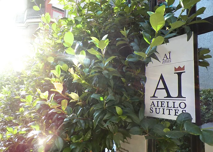 Aiello Executive