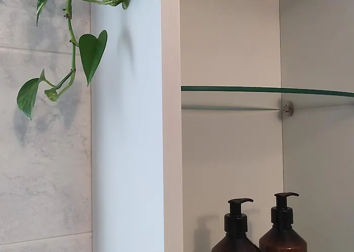 Veronica's Milan