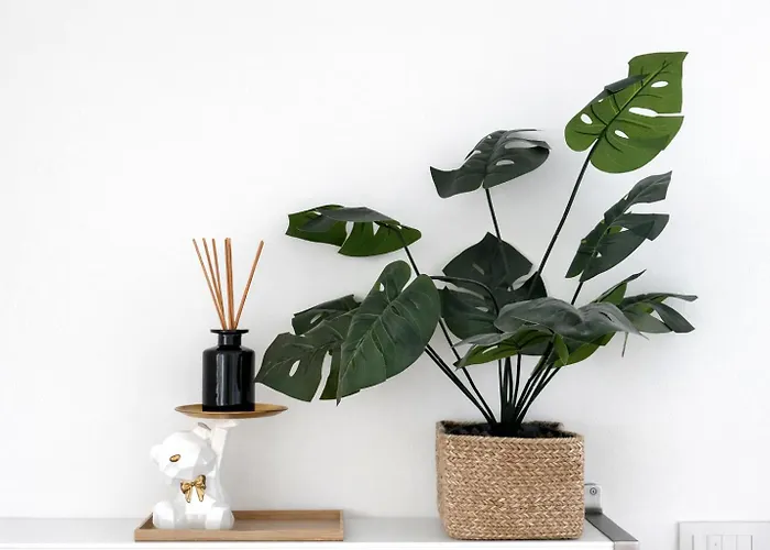 The Boutique - Duomo - Via Torino شقة ميلان