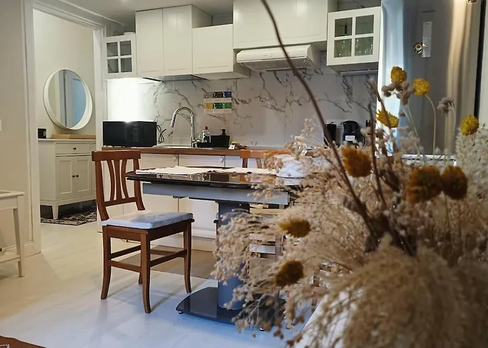 Metro Linate-idroscalo-novegro Expo 公寓