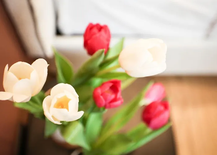 Ca Bela - Venini Milan