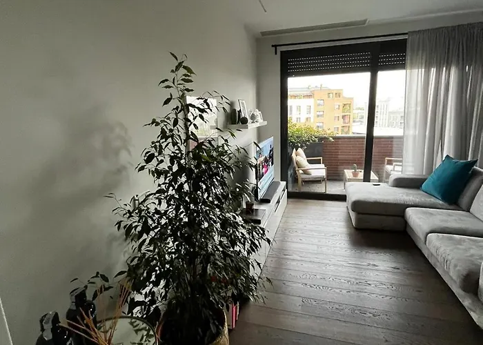 Navigli Design *