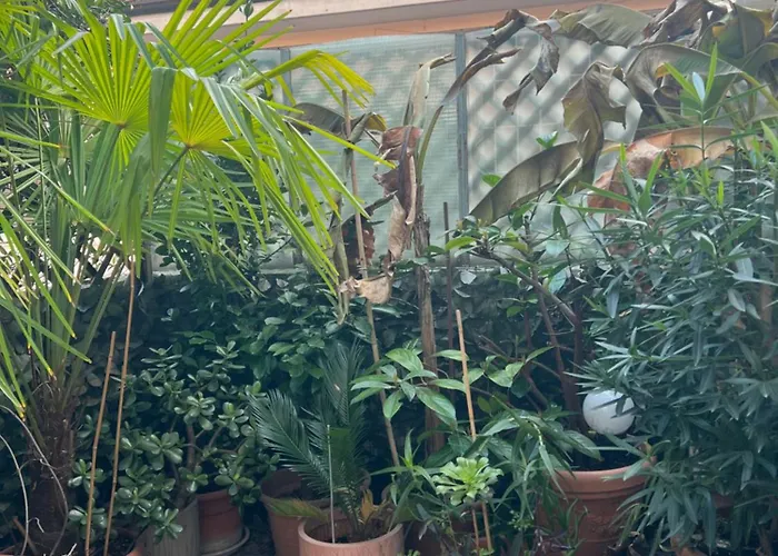 Apartment Romana Milan