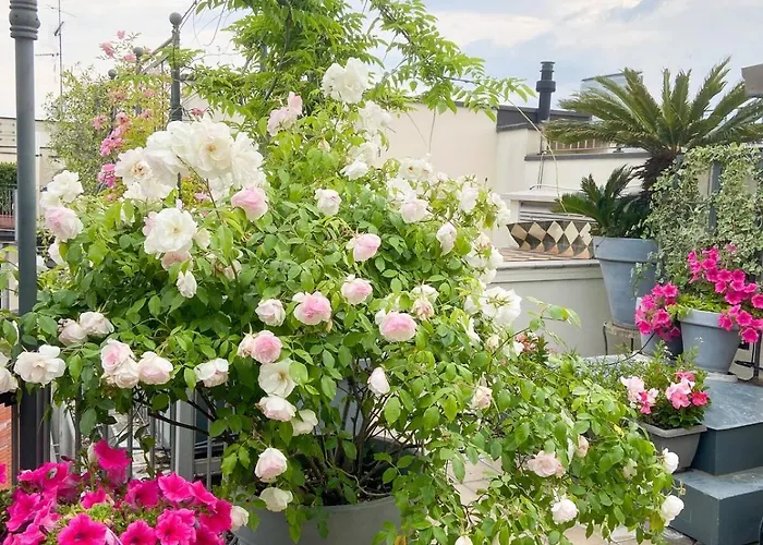 Near Metro Cozy With Terrace & Balcony *