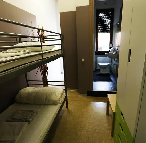 Auberge de jeunesse Panda