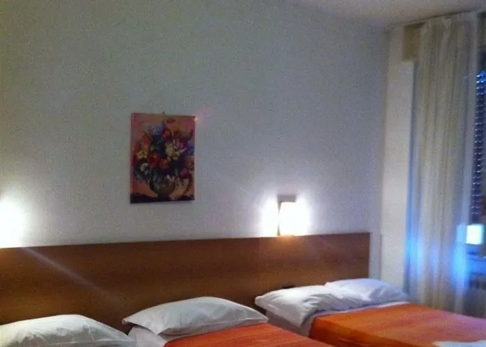Hotel Salus *
