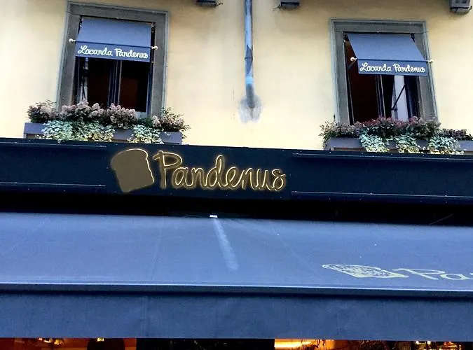 B&B Pandenus Brera