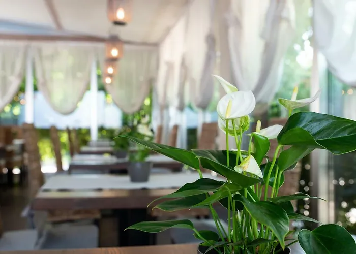 Silver Hotel