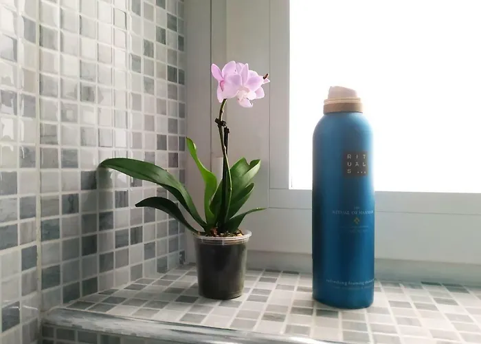 Διαμέρισμα Milky House